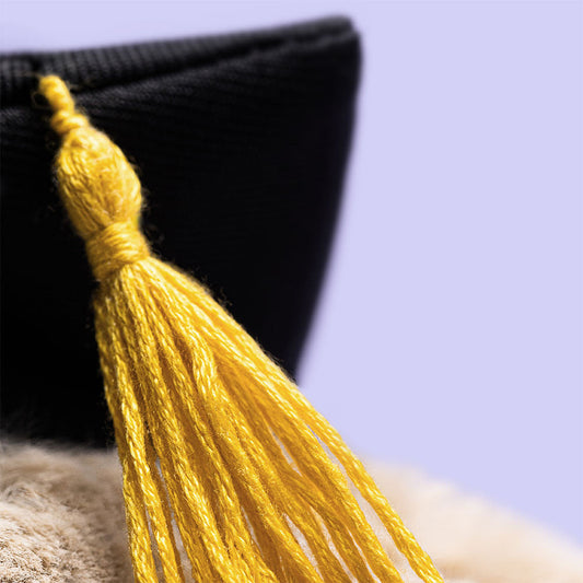 Bashful Bunny Graduation Outfit