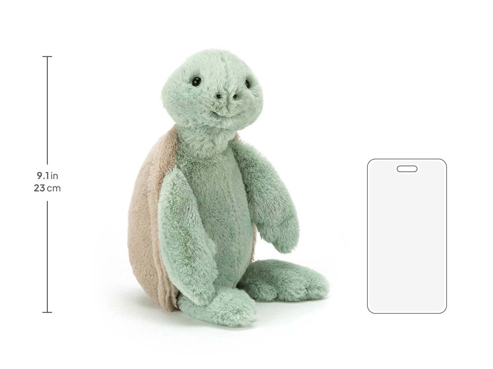 Bashful Turtle